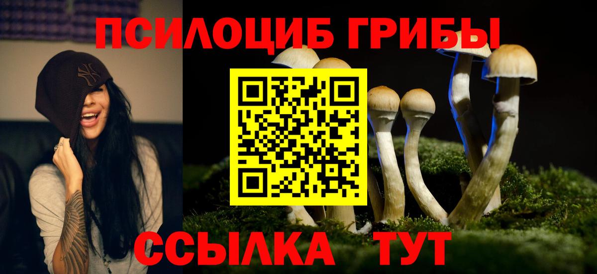 Галлюциногенные грибы GOLDEN TEACHER  Вход с VPN  Краснодар 